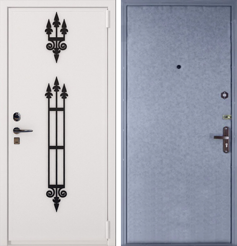 Дверь в дачный дом №1