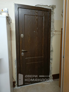 Входная железная дверь Stardis Trend