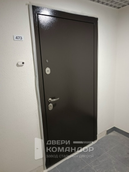 Входная дверь Stardis Trend