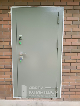 Входная дверь терморазрыв  металл / шпон на заказ