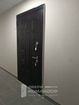 Входная металлическая дверь шпон / змаль, с окраской металла в два цвета, на заказ